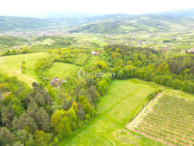 Działka rolna w miejscowości Łącko o łącznej powierzchni 76 arów - Łącko  -
małopolskie Zdjęcie nr 2