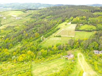 Działka rolna w miejscowości Łącko o łącznej powierzchni 76 arów - Łącko  -
małopolskie Zdjęcie nr 4