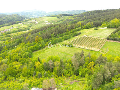 Działka rolna w miejscowości Łącko o łącznej powierzchni 76 arów - Łącko  -
małopolskie Zdjęcie nr 5