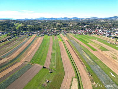 Spełnij marzenie o własnym domu  Działka w Podegrodziu - Podegrodzie  -
małopolskie Zdjęcie nr 10