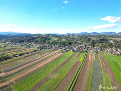 Spełnij marzenie o własnym domu  Działka w Podegrodziu - Podegrodzie  -
małopolskie Zdjęcie nr 14