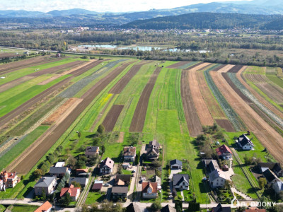 Spełnij marzenie o własnym domu  Działka w Podegrodziu - Podegrodzie  -
małopolskie Zdjęcie nr 15