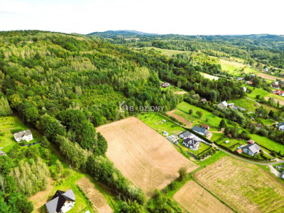 OKAZJA działka budowlana w miejscowości Golanka gm Gromnik pow 107 ha - Golanka  -
małopolskie Zdjęcie nr 12