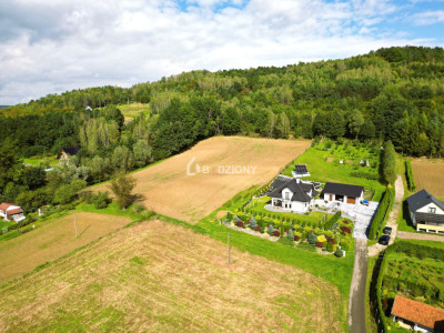 OKAZJA działka budowlana w miejscowości Golanka gm Gromnik pow 107 ha - Golanka  -
małopolskie Zdjęcie nr 16