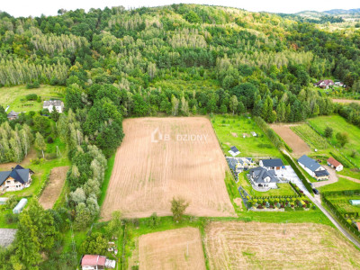 OKAZJA działka budowlana w miejscowości Golanka gm Gromnik pow 107 ha - Golanka  -
małopolskie Zdjęcie nr 19