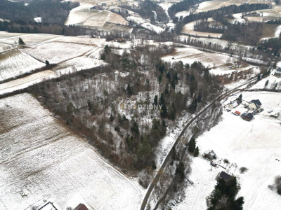 MEGA OFERTA 2 działki inwestycyjne - Jastrzębia  gm Ciężkowice - Jastrzębia  -
małopolskie Zdjęcie nr 2