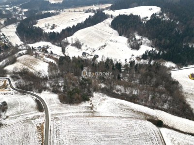 MEGA OFERTA 2 działki inwestycyjne - Jastrzębia  gm Ciężkowice - Jastrzębia  -
małopolskie Zdjęcie nr 5