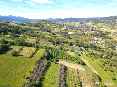 Działka rolna z możliwością przekształcenia w budowlaną - miejscowość Zagorzyn - Zagorzyn  -
małopolskie Zdjęcie nr 3