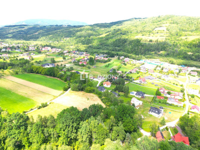 Atrakcyjna działka o dużej powierzchni - inwestuj w przyszłość  Kamienica - Kamienica  -
małopolskie Zdjęcie nr 5