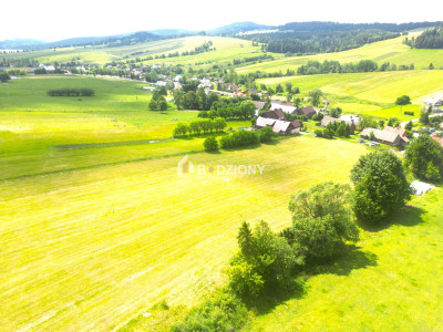 Malownicza działka w Mochnaczce Wyżnej - cisza widoki i potencjał - Mochnaczka Wyżna  -
małopolskie Zdjęcie nr 2