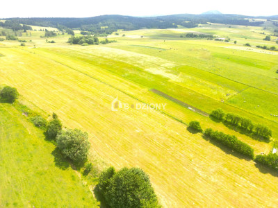 Malownicza działka w Mochnaczce Wyżnej - cisza widoki i potencjał - Mochnaczka Wyżna  -
małopolskie Zdjęcie nr 5