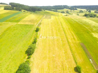 Malownicza działka w Mochnaczce Wyżnej - cisza widoki i potencjał - Mochnaczka Wyżna  -
małopolskie Zdjęcie nr 6