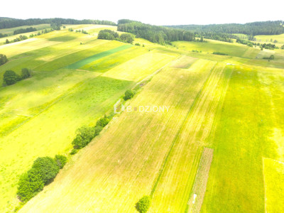 Malownicza działka w Mochnaczce Wyżnej - cisza widoki i potencjał - Mochnaczka Wyżna  -
małopolskie Zdjęcie nr 7