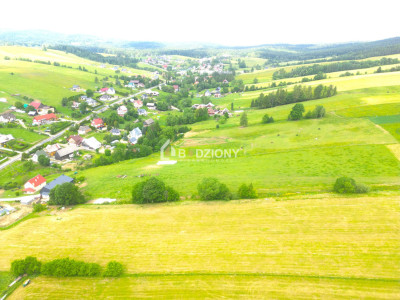 Malownicza działka w Mochnaczce Wyżnej - cisza widoki i potencjał - Mochnaczka Wyżna  -
małopolskie Zdjęcie nr 8