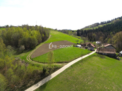 Działka z potencjałem w spokojnej okolicy  - Barcice Górne ul Kliny - nowosądecki  -
małopolskie Zdjęcie nr 4