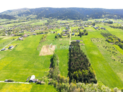 Teren inwestycyjny z dużym potencjałem - Ptaszkowa gm Grybów - Ptaszkowa  -
małopolskie Zdjęcie nr 10