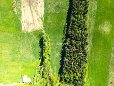 Teren inwestycyjny z dużym potencjałem - Ptaszkowa gm Grybów - Ptaszkowa  -
małopolskie Zdjęcie nr 16