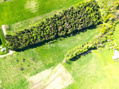 Teren inwestycyjny z dużym potencjałem - Ptaszkowa gm Grybów - Ptaszkowa  -
małopolskie Zdjęcie nr 17