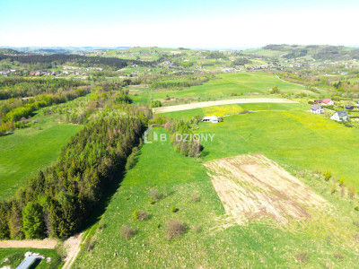 Teren inwestycyjny z dużym potencjałem - Ptaszkowa gm Grybów - Ptaszkowa  -
małopolskie Zdjęcie nr 2