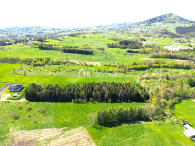 Teren inwestycyjny z dużym potencjałem - Ptaszkowa gm Grybów - Ptaszkowa  -
małopolskie Zdjęcie nr 5