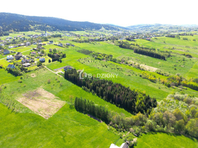 Teren inwestycyjny z dużym potencjałem - Ptaszkowa gm Grybów - Ptaszkowa  -
małopolskie Zdjęcie nr 7