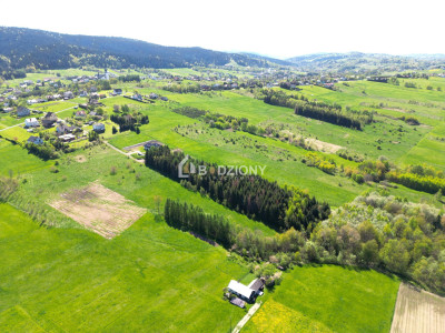 Teren inwestycyjny z dużym potencjałem - Ptaszkowa gm Grybów - Ptaszkowa  -
małopolskie Zdjęcie nr 8