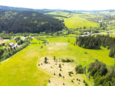 Działka przy szlaku w Tyliczu - idealna pod dom lub domki letniskowe  Wydana WZ - Tylicz  -
małopolskie Zdjęcie nr 4