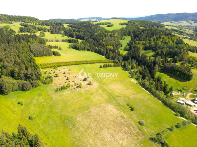 Działka przy szlaku w Tyliczu - idealna pod dom lub domki letniskowe  Wydana WZ - Tylicz  -
małopolskie Zdjęcie nr 6