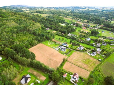 OKAZJA działka budowlana w miejscowości Golanka gm Gromnik pow 107 ha - Golanka  -
małopolskie Zdjęcie nr 6