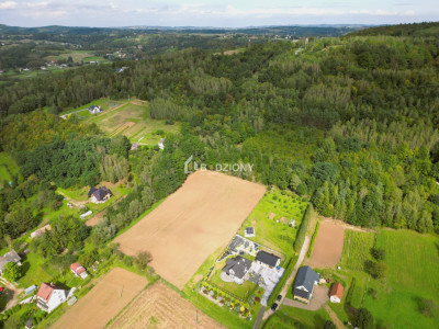 OKAZJA działka budowlana w miejscowości Golanka gm Gromnik pow 107 ha - Golanka  -
małopolskie Zdjęcie nr 8