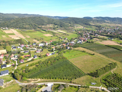 Działka rolna z możliwością przekształcenia w budowlaną - miejscowość Zagorzyn - Zagorzyn  -
małopolskie Zdjęcie nr 6