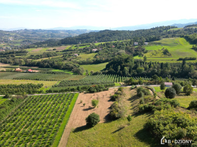 Działka rolna z możliwością przekształcenia w budowlaną - miejscowość Zagorzyn - Zagorzyn  -
małopolskie Zdjęcie nr 8