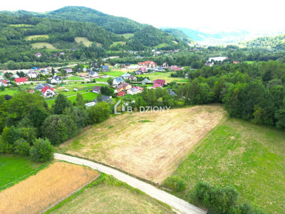 Atrakcyjna działka o dużej powierzchni - inwestuj w przyszłość  Kamienica - Kamienica  -
małopolskie Zdjęcie nr 13