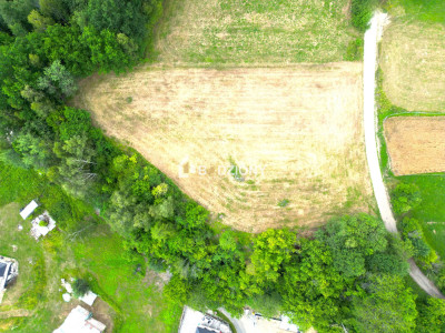 Atrakcyjna działka o dużej powierzchni - inwestuj w przyszłość  Kamienica - Kamienica  -
małopolskie Zdjęcie nr 15