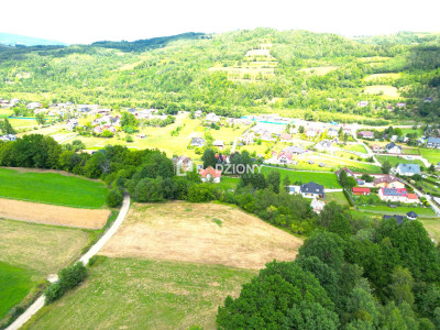 Atrakcyjna działka o dużej powierzchni - inwestuj w przyszłość  Kamienica - Kamienica  -
małopolskie Zdjęcie nr 4