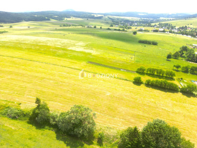 Malownicza działka w Mochnaczce Wyżnej - cisza widoki i potencjał - Mochnaczka Wyżna  -
małopolskie Zdjęcie nr 4