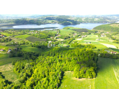 Elastyczna oferta dopasowana do Twoich potrzeb - Wola Kurowska gm Chełmiec - Wola Kurowska  -
małopolskie Zdjęcie nr 11