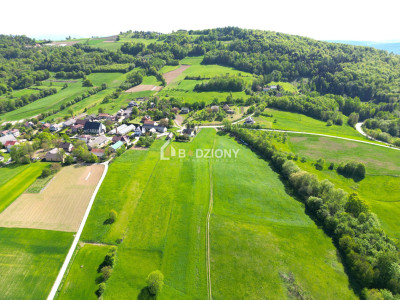 Elastyczna oferta dopasowana do Twoich potrzeb - Wola Kurowska gm Chełmiec - Wola Kurowska  -
małopolskie Zdjęcie nr 3