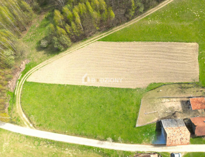 Działka z potencjałem w spokojnej okolicy  - Barcice Górne ul Kliny - nowosądecki  -
małopolskie Zdjęcie nr 10