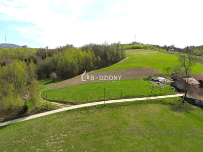Działka z potencjałem w spokojnej okolicy  - Barcice Górne ul Kliny - nowosądecki  -
małopolskie Zdjęcie nr 5