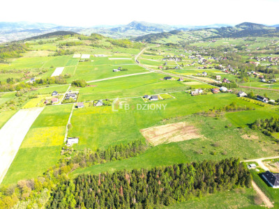 Teren inwestycyjny z dużym potencjałem - Ptaszkowa gm Grybów - Ptaszkowa  -
małopolskie Zdjęcie nr 12