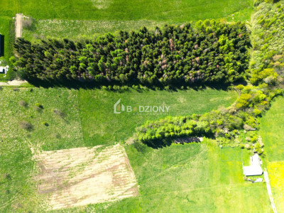 Teren inwestycyjny z dużym potencjałem - Ptaszkowa gm Grybów - Ptaszkowa  -
małopolskie Zdjęcie nr 14