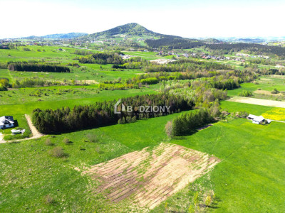 Teren inwestycyjny z dużym potencjałem - Ptaszkowa gm Grybów - Ptaszkowa  -
małopolskie Zdjęcie nr 4