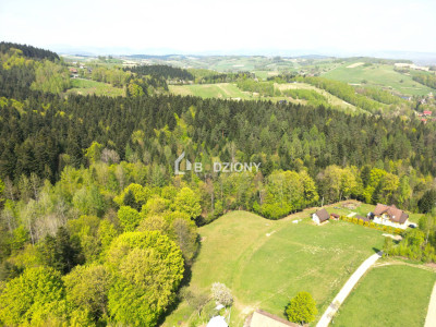 Działka budowlana w Barcicach Górnych z gwarancją ciszy i spokoju - nowosądecki  -
małopolskie Zdjęcie nr 10