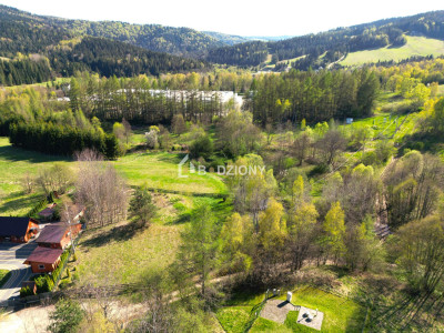 Idealna inwestycja przy stoku narciarskim - Tylicz - Tylicz  -
małopolskie Zdjęcie nr 3