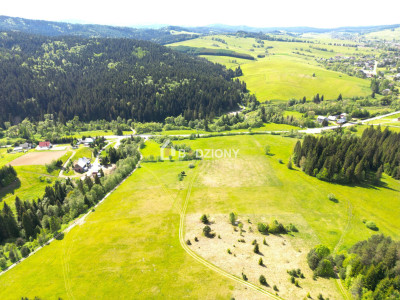 Działka przy szlaku w Tyliczu - idealna pod dom lub domki letniskowe  Wydana WZ - Tylicz  -
małopolskie Zdjęcie nr 12