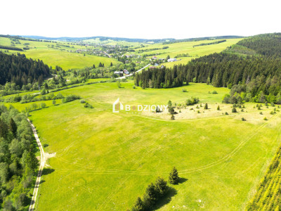 Działka przy szlaku w Tyliczu - idealna pod dom lub domki letniskowe  Wydana WZ - Tylicz  -
małopolskie Zdjęcie nr 2