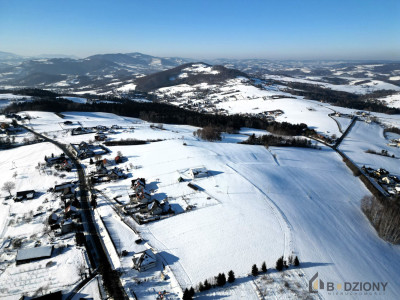 Klimkówka  działka 21 arów z widokiem na Tatry  10 min od Nowego Sącza - Klimkówka  -
małopolskie Zdjęcie nr 8