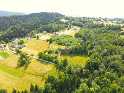 Atrakcyjna działka w Mystkowie - gotowa pod budowę - Mystków  -
małopolskie Zdjęcie nr 8