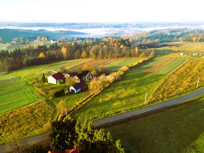 OKAZJA Urokliwa działka w miejscowości Kołkówka gm Rzepiennik Strzyżewski - Kołkówka  -
małopolskie Zdjęcie nr 15